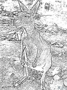 kangaroo Printable Coloring Nplooj Ntawv